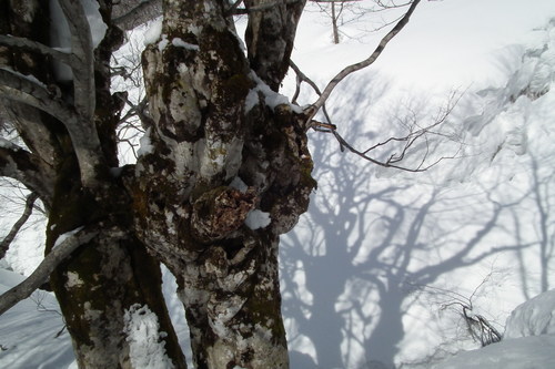 f0118332_01589.jpg