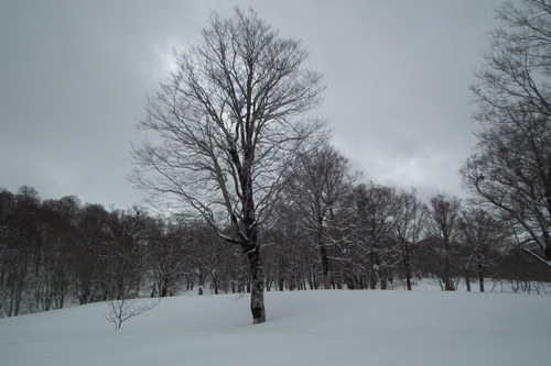 f0118332_022097.jpg