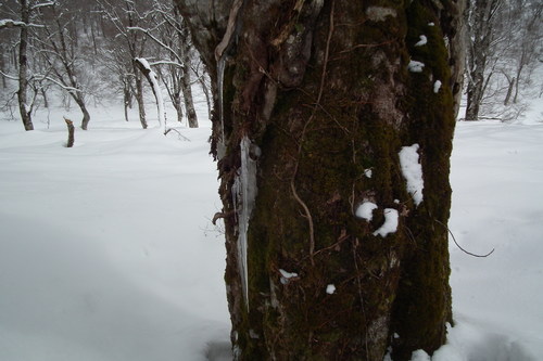 f0118332_061199.jpg