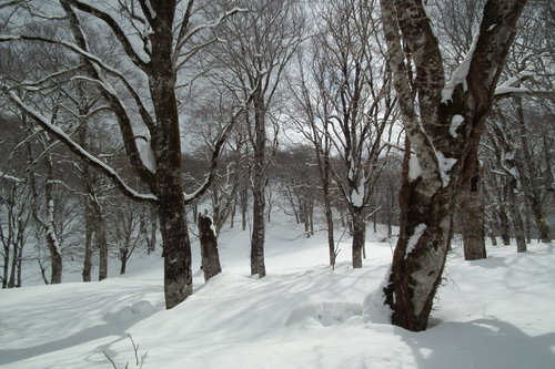 f0118332_065887.jpg