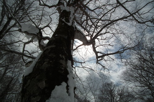 f0118332_073145.jpg