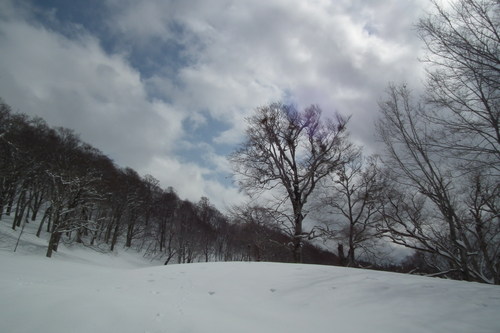 f0118332_084274.jpg