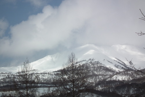f0118332_09027.jpg