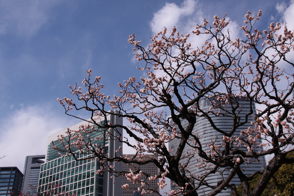 f0217933_22552626.jpg