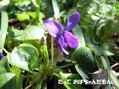 e0097534_15394039.jpg