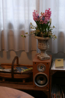 f0002534_2113572.jpg