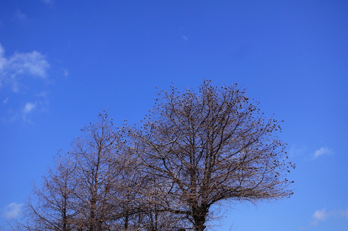 d0241937_21353789.jpg