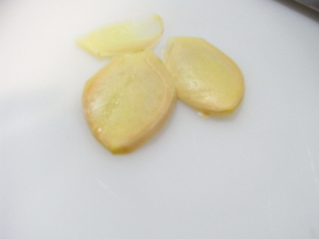c0157540_16185935.jpg
