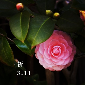e0086642_2224379.jpg