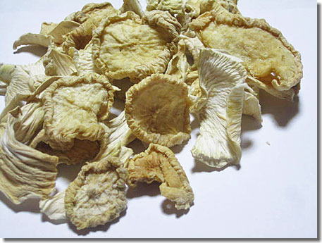 a0221044_9431316.jpg