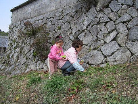 b0132746_152277.jpg