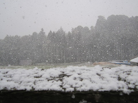 b0132746_23331780.jpg