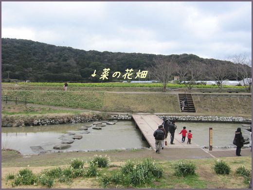 f0142948_22182153.jpg