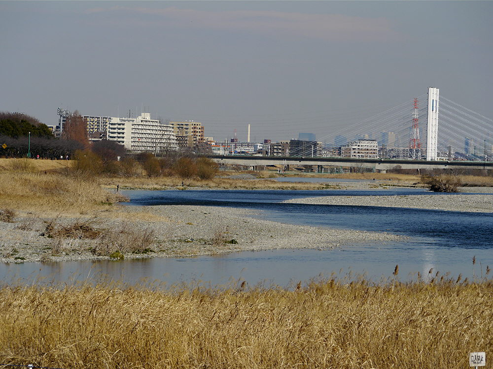 d0091754_19161464.jpg