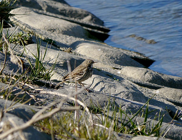 d0091754_198750.jpg