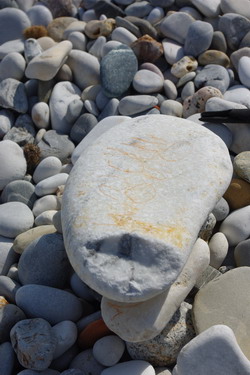 c0161459_2018153.jpg