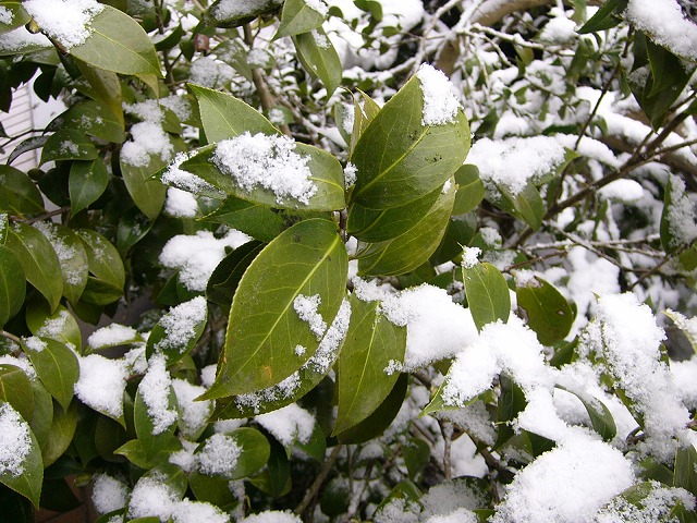 b0218664_11511034.jpg