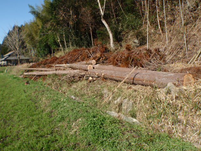 e0065967_20232472.jpg