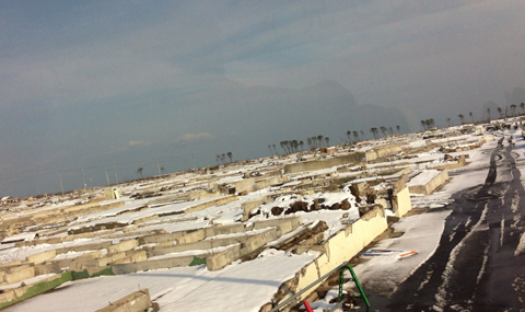 b0162968_011157.jpg