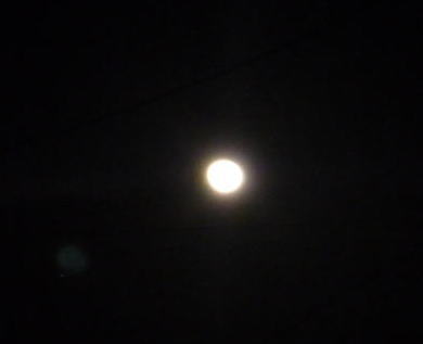 e0161972_8264526.jpg