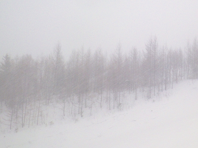 f0182173_11202113.jpg