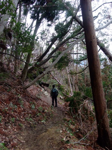 a0043982_20334128.jpg