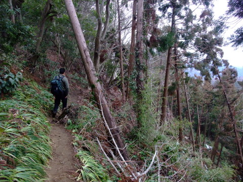 a0043982_20335266.jpg