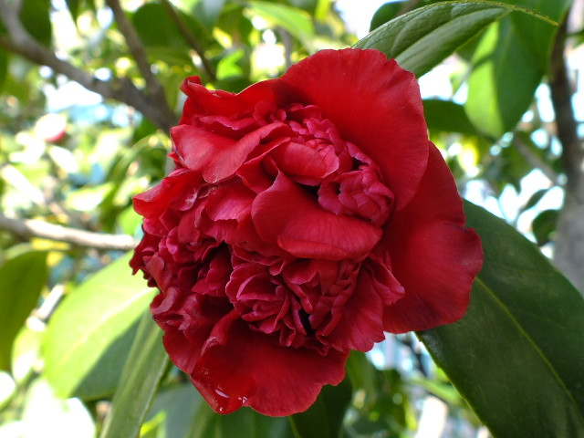 e0145782_2012186.jpg