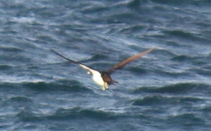 e0197884_2071480.jpg