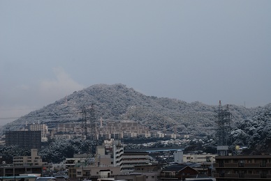 a0133886_18345674.jpg