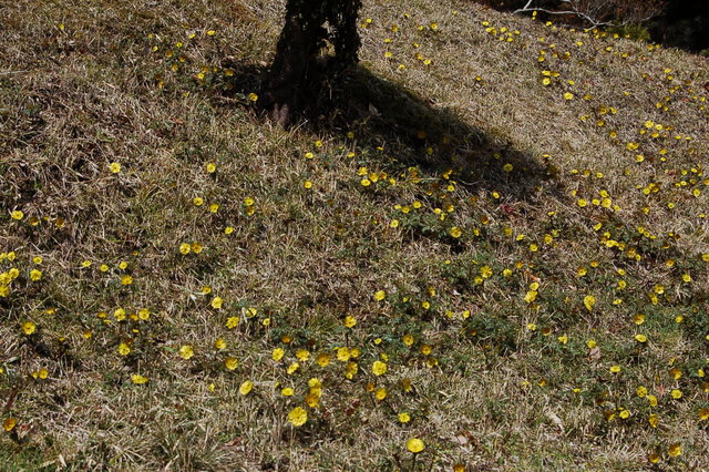b0203588_14112415.jpg