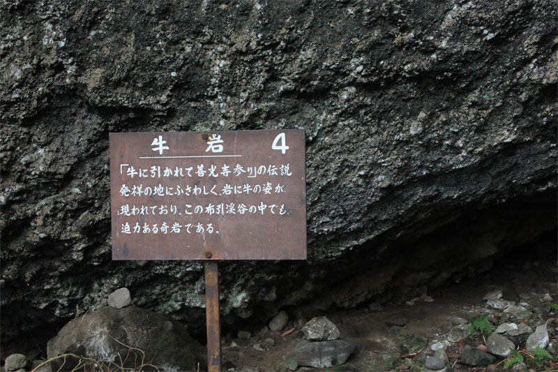 d0217090_226319.jpg