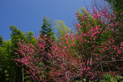 b0119493_048314.jpg