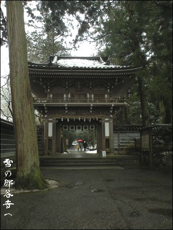 d0050995_1457289.jpg