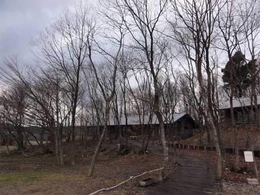 a0061599_2191538.jpg