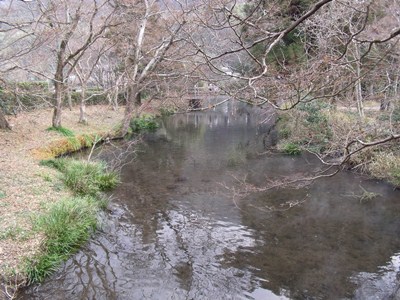 c0017802_17363545.jpg