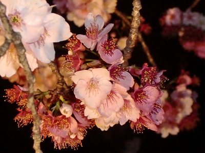 a0134004_13561316.jpg