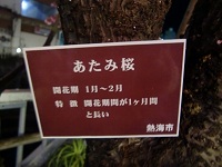 a0134004_13562765.jpg
