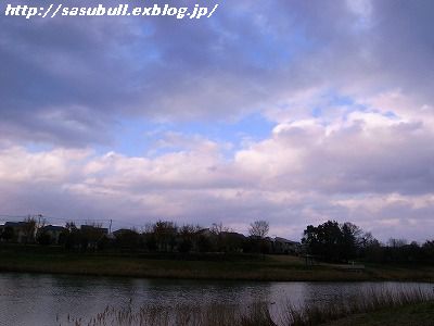 e0145805_1983139.jpg