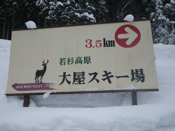 a0200608_21351963.jpg
