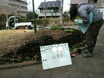 f0127408_04821.jpg