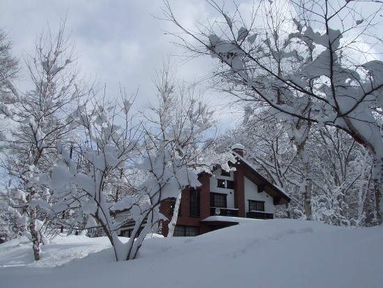 f0161708_21422638.jpg