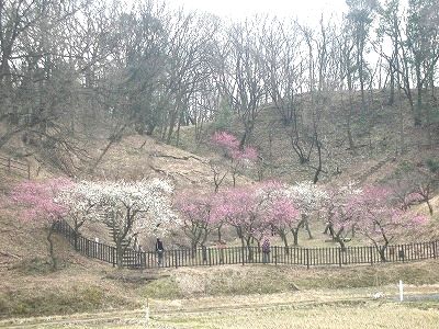 c0141011_1442815.jpg