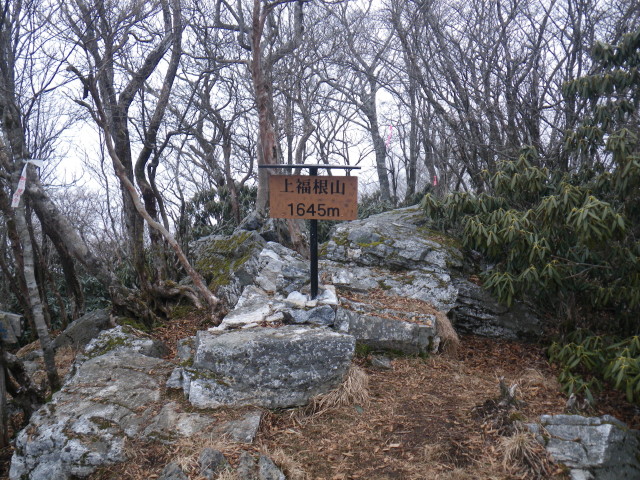 d0006512_21232678.jpg