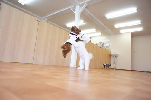 d0220513_1714711.jpg