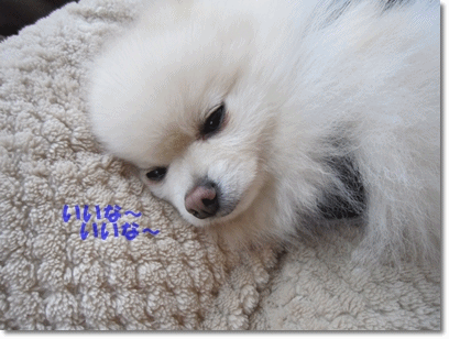 b0167519_20493784.gif