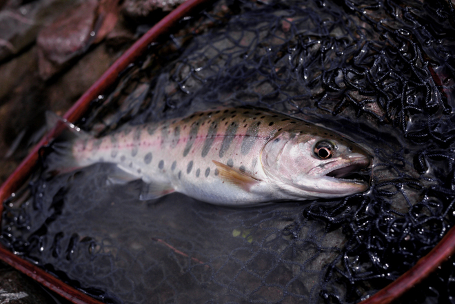 e0200926_8291727.jpg