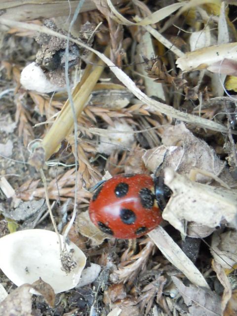 f0229926_16182647.jpg