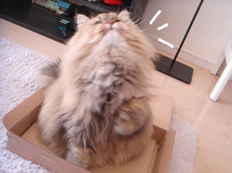 e0157129_19441635.gif