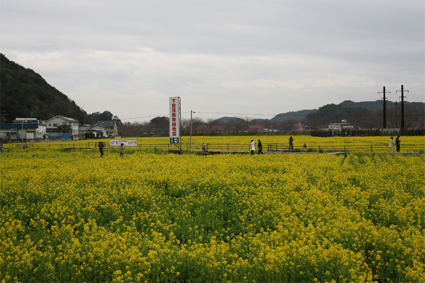 a0231133_16484546.jpg